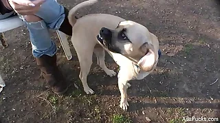 Only Asian Porn Videos 1